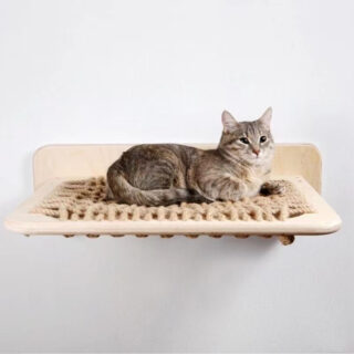 chaton poser sur un hamac mural en bois et en osier