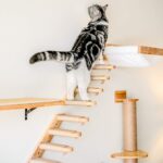 hamac mural pour chat