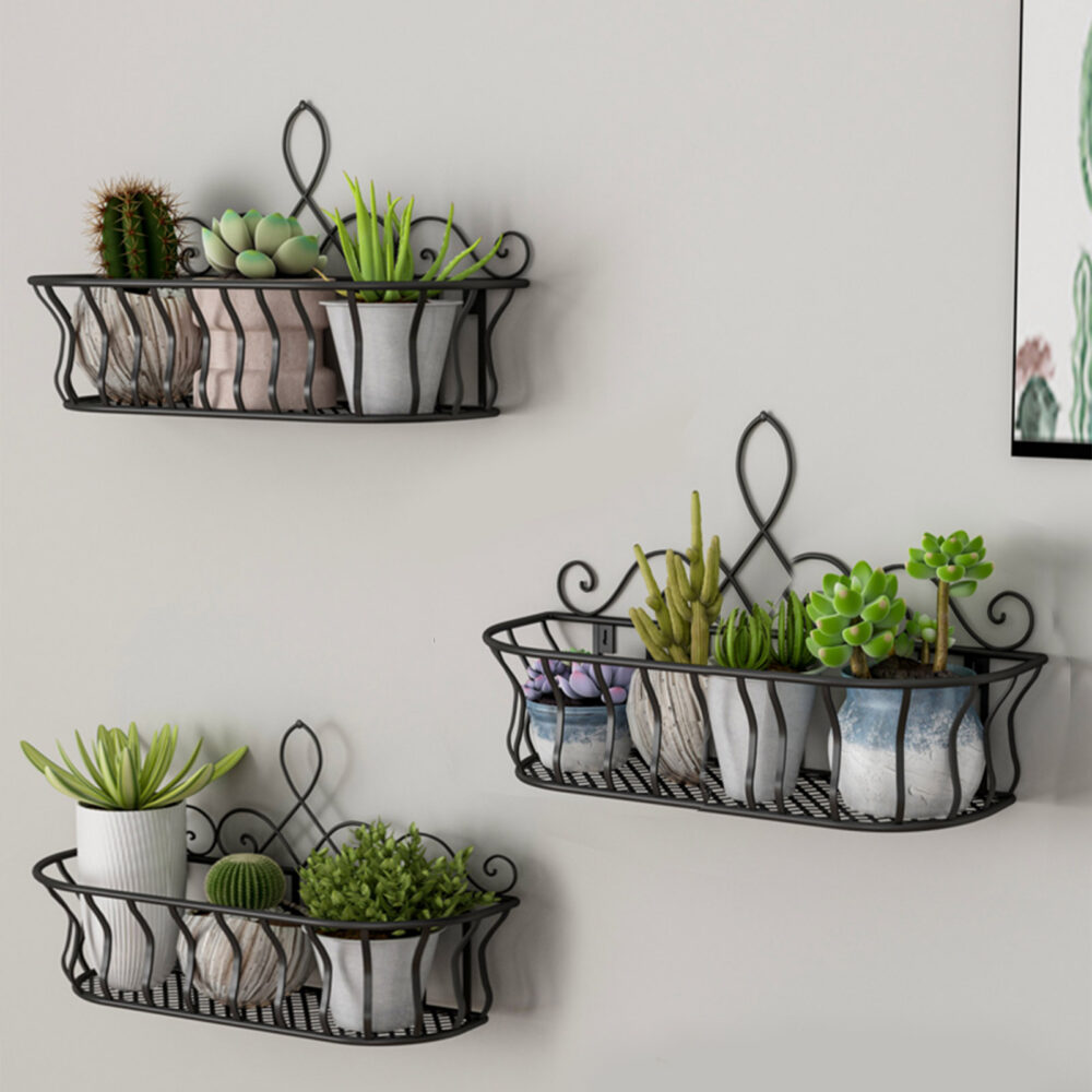 Trois étagères murales, bac à plantes, fixées sur un mur gris avec des petites plantes en pot dedans.